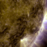 SUN MAGNETIC POLES