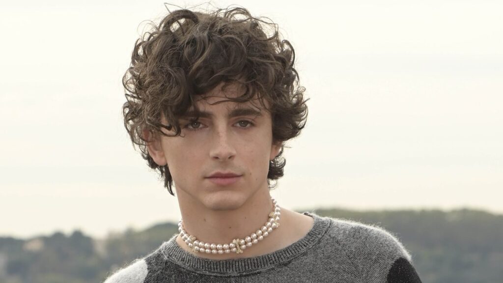 timothee chalamet